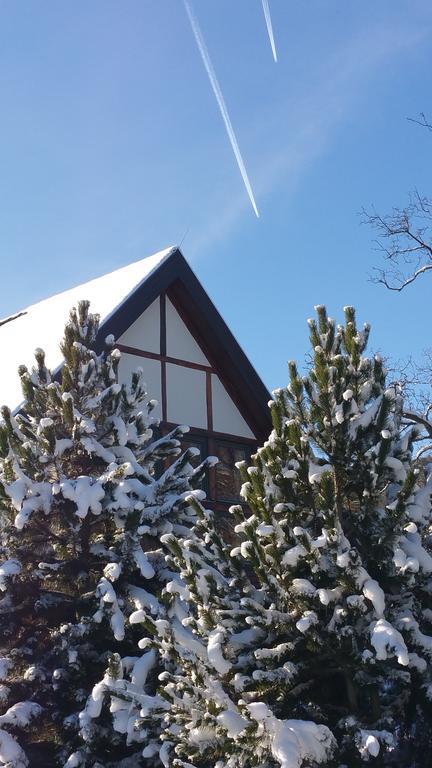 Landhaus Tonmühle Ilsenburg Exterior foto